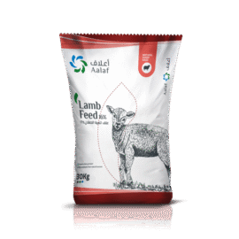 Lamb Feed 16% – 30 Kg Bag
