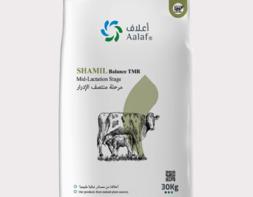 Shamil Balance TMR Mid-Lactation Stage