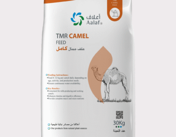 TMR Camel Feed