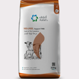SHAMIL Support TMR Late Dry Lactation