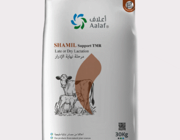 SHAMIL Support TMR Late Dry Lactation