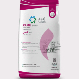 KAMIL FEED TMR Dairy Sheep Feed