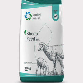 Sheep Feed 14% – 30 Kg Bag