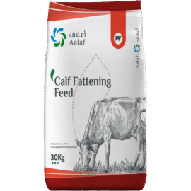 Calf Fattening Feed