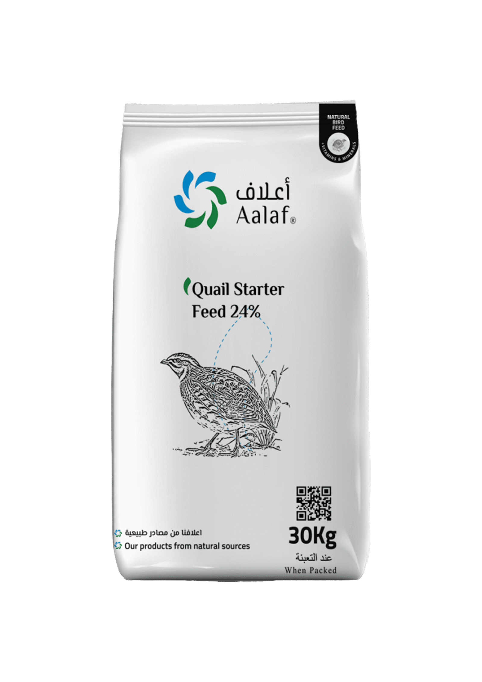 High-protein 24% mash for quail chicks promoting fast early growth, strong feather development, and uniformity — ماش عالي البروتين بنسبة 24٪ لكتاكيت السمان يدعم النمو السريع المبكر، وتطور الريش القوي، وتجانس القطيع