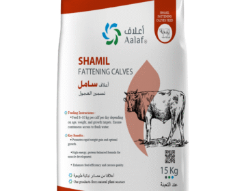 Shamil Fattening Calves TMR