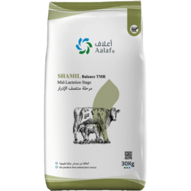 Shamil Balance TMR