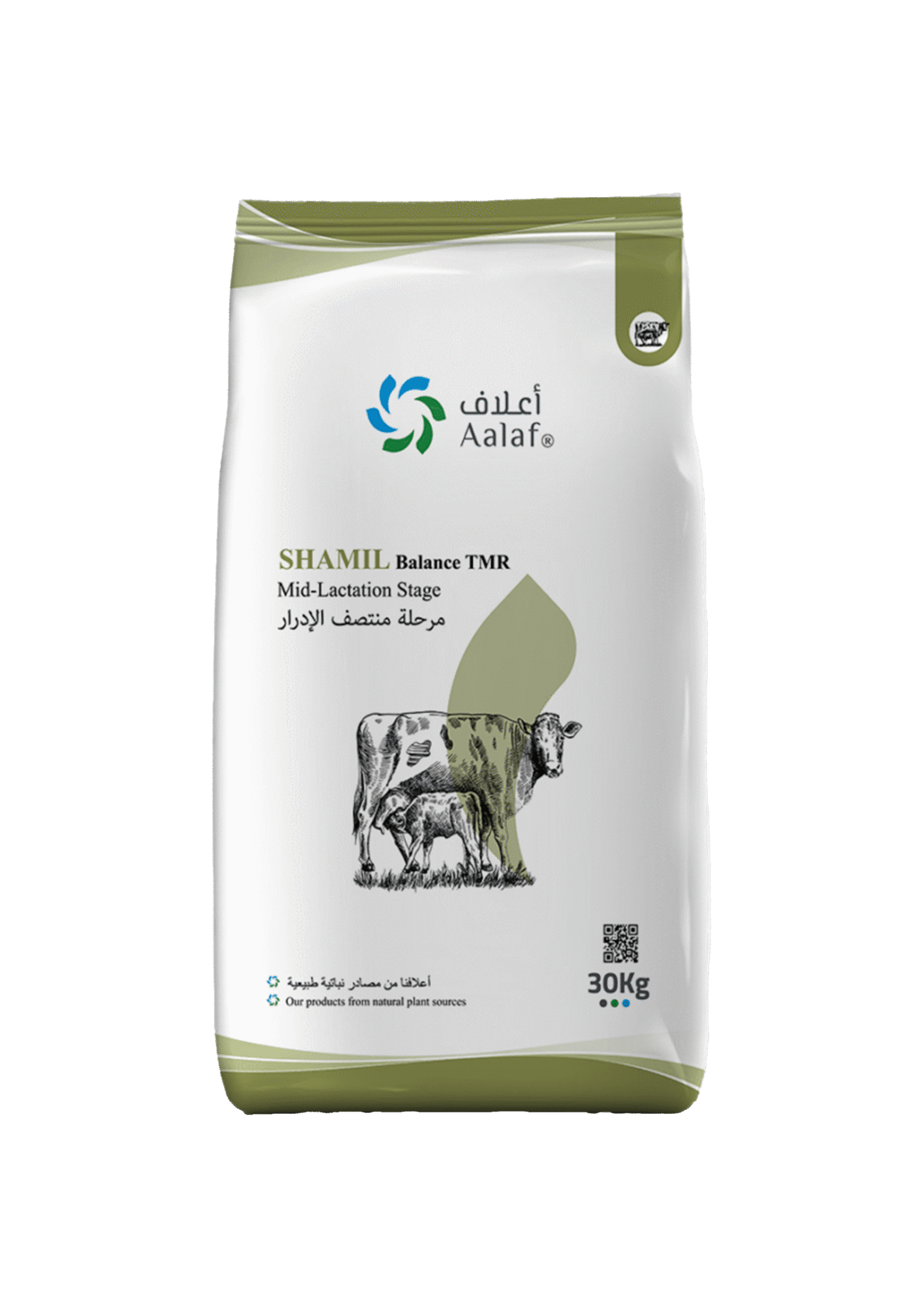 Balanced TMR for mid-lactation cows, supporting sustained milk production, body condition, and reproductive health — خلطة TMR متوازنة لفترة منتصف الإدرار، تدعم استمرار إنتاج الحليب والحفاظ على الحالة البدنية وصحة الخصوبة