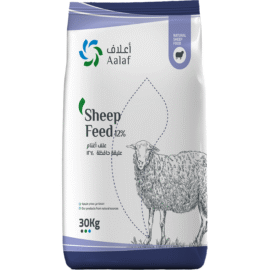 Sheep Feed 12%