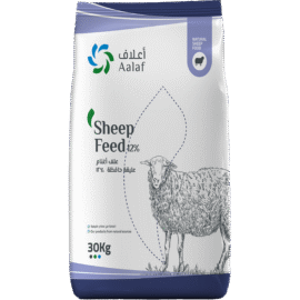Sheep Feed 12%