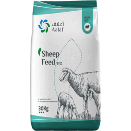 Sheep Feed 14%